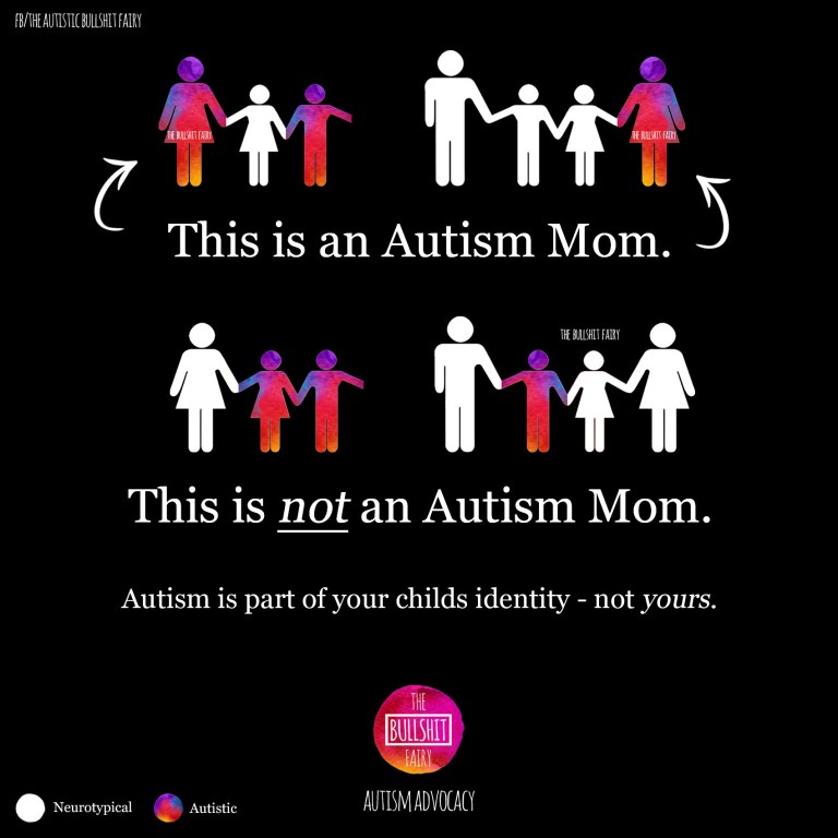The Bullshit Fairy _This is an Autism Mom v2
