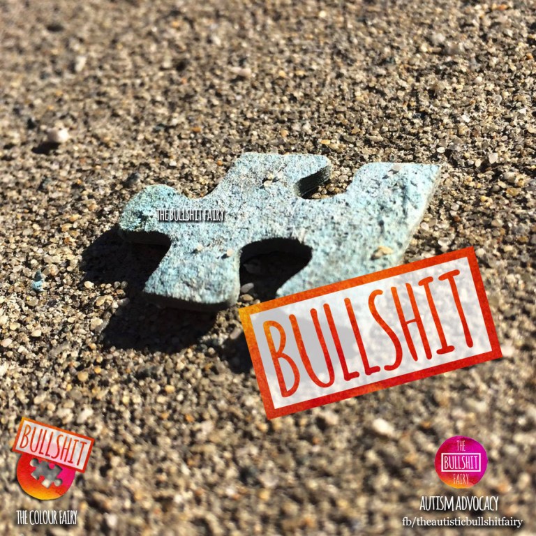 The Colour Fairy _PUzzle Piece on the Ground _Bullshit